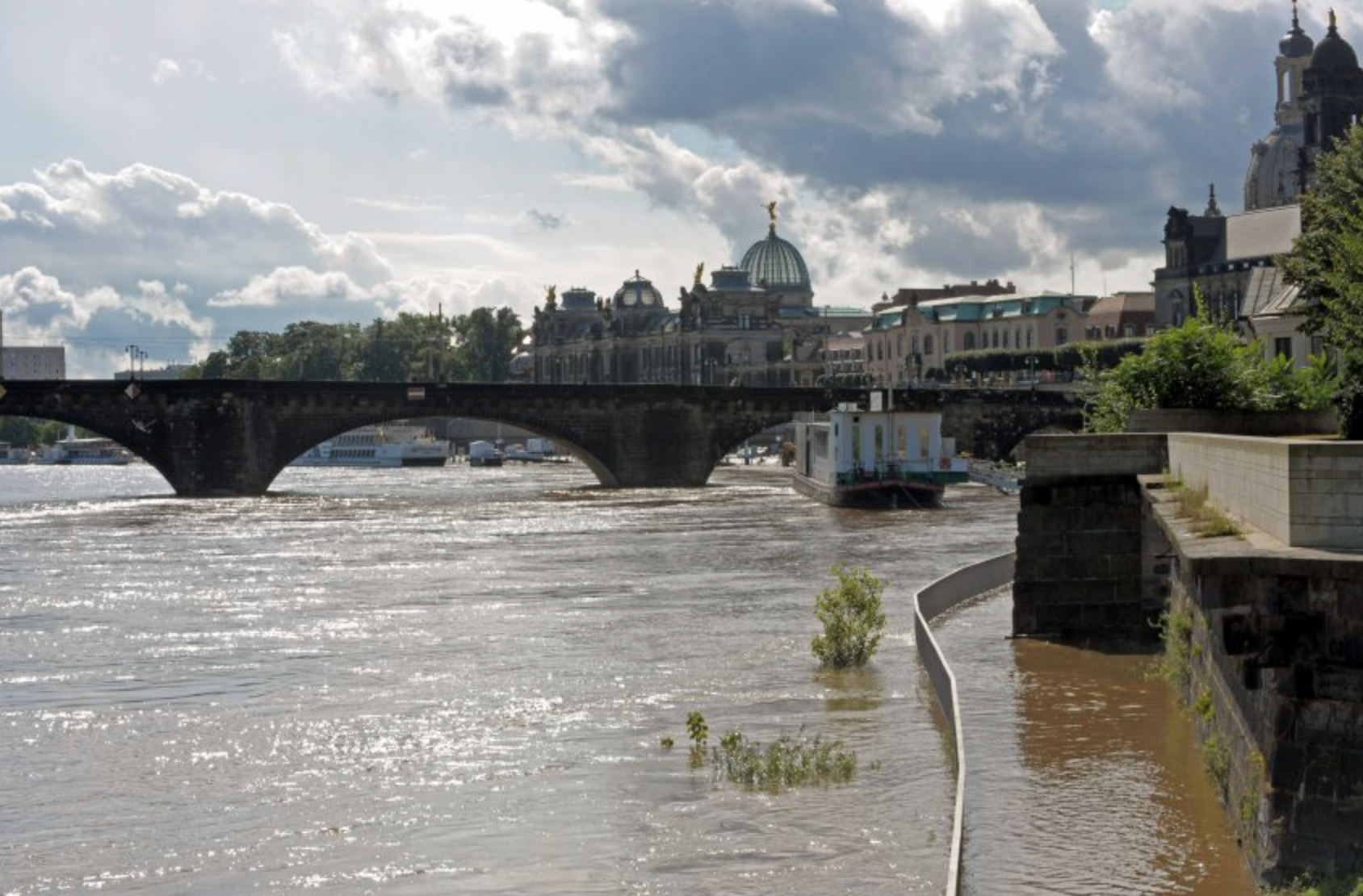 Elbe mit Hochwasser