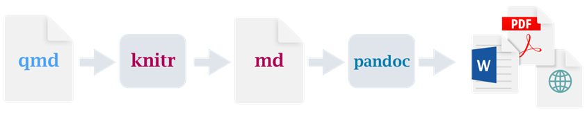 Darstellung des Renderpfads von Quarto Markdown zu Knitr zu Markdown zu Pandoc zum gewünschten Format, z. B. PDF, Worddatei oder HTML.