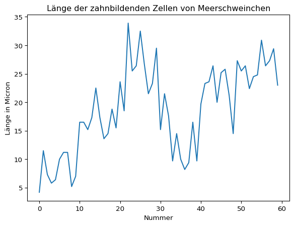 Illustrative Darstellung der Zahnlänge in der Spalte 'len'